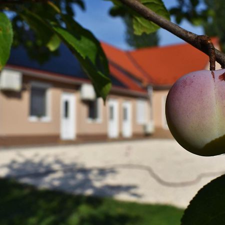 Napfeny Apartman Makó 外观 照片